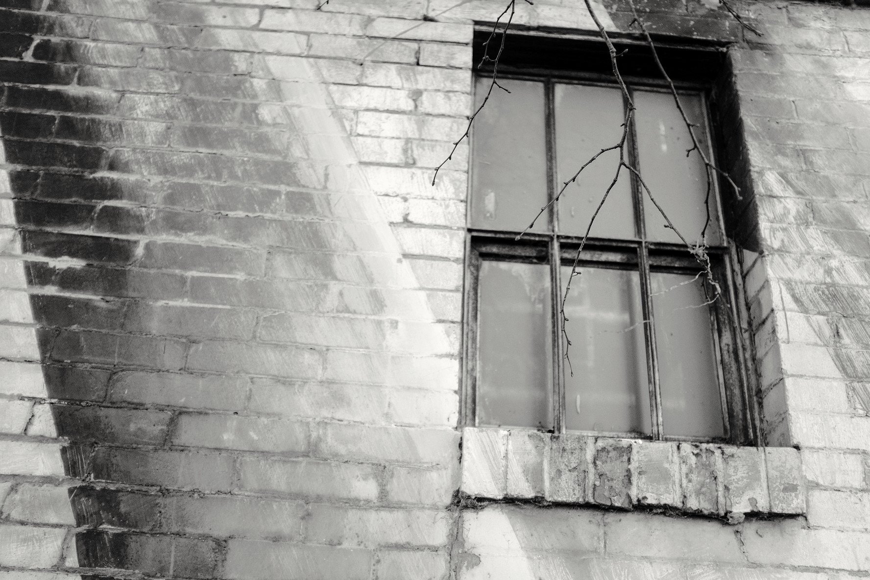 Window