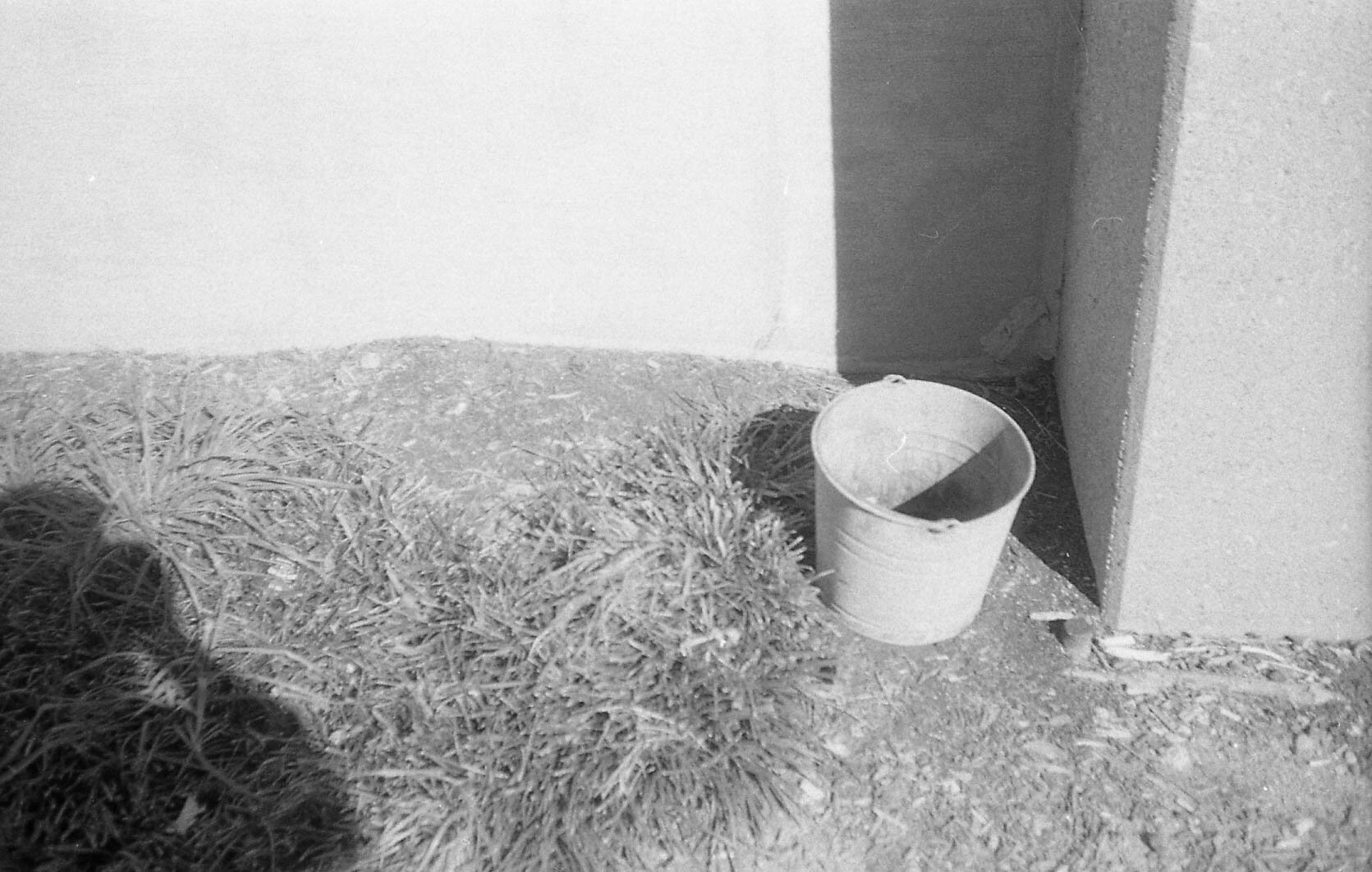 Tri-X 400 pulled to 200 