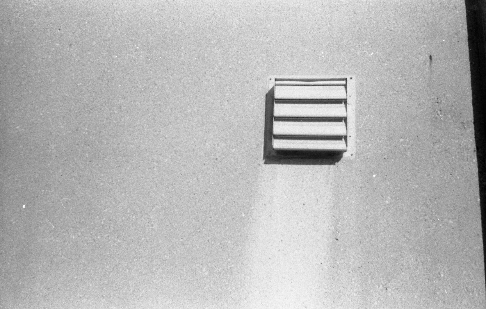 Tri-X 400 pulled to 200 