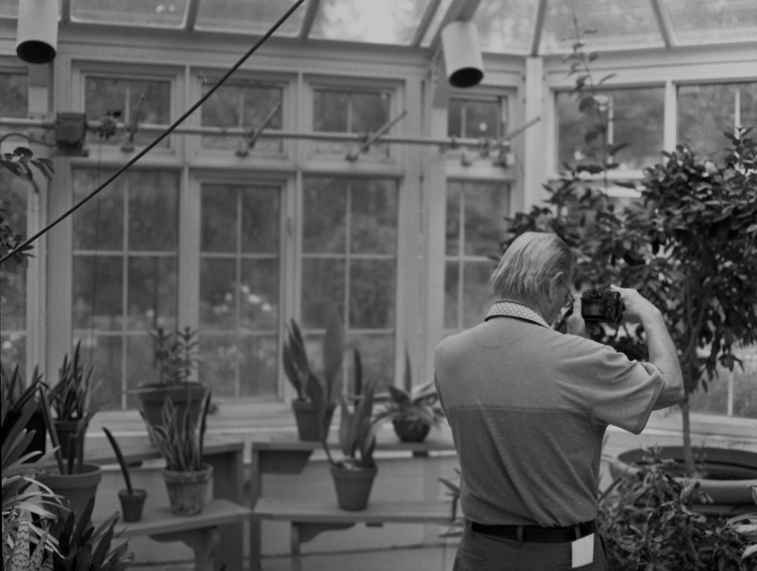 Dad in the Gardens