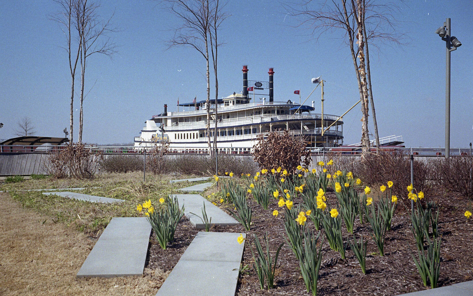 Memphis, 2018. Smena Symbol. Kodak Gold 200. 